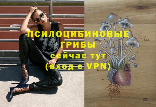 a pvp Балабаново