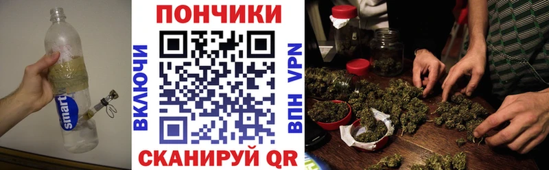Шишки марихуана сатива  Белёв 